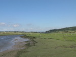 SX07955 Sheep on banks of Ogmore River.jpg